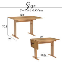タマリビング ブッター ダイニングテーブル 幅900・1200×奥行750×高さ700mm ウォルナット 1台（直送品）