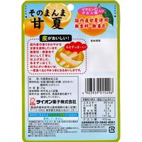 ドライフルール 食べきりサイズ そのまんま甘夏 1セット（1個×6）