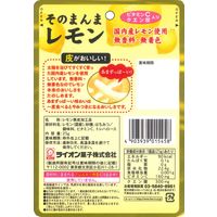 ドライフルール 食べきりサイズ そのまんまレモン 1セット（1個×6）