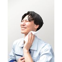 TRUSCO 【限定1000セット】クール汗拭きクロス 北極ボディシート 保冷剤付き 詰替1セット付き CSH84SET-P1 1セット（直送品）