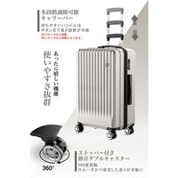 超軽量・ストッパー付Wキャスター・物掛けフック【NT-GB0701 Plus 】 NT-GB0701 Plusオートミールグレー S 1台（直送品）