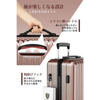 超軽量・ストッパー付Wキャスター・物掛けフック【NT-GB0701 Plus 】 NT-GB0701 Plusローズゴールド M 1台（直送品）