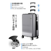 超軽量・ストッパー付Wキャスター・物掛けフック【NT-GB0701 Plus 】 NT-GB0701 PlusグレーM 1台（直送品）