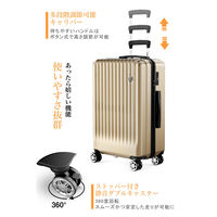 超軽量・ストッパー付Wキャスター・物掛けフック【NT-GB0701 Plus 】 NT-GB0701 Plusゴールド S 1台（直送品）