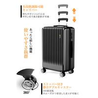 超軽量・ストッパー付Wキャスター・物掛けフック【NT-GB0701 Plus 】 NT-GB0701 Plusブラック M 1台（直送品）