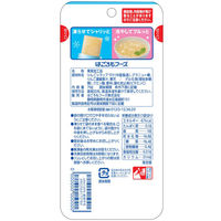 個包装 シャーベット シャリッと！デザート　りんご 70g 1セット（1個×12）