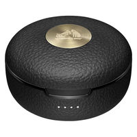 JVCケンウッド WOOD master 完全ワイヤレスイヤホン HA-FW5000T HA-FW5000T-T 1個（直送品）