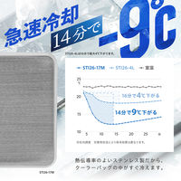 ステンレスアイスパック 武田コーポレーション 保冷剤 繰り返し 冷却用品 ひんやりグッズ 空調服 クーラーボックス 1個