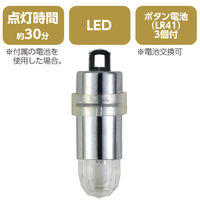 アーテック バルーンLEDライト10個組 46905 1セット(1組×2)（直送品）