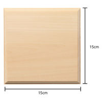 アーテック プラーク 正方形 12380 1セット(1枚×2)（直送品）