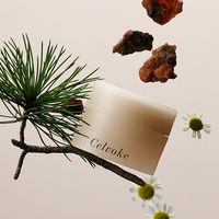 Celvoke（セルヴォーク） アロマヴェール リップマスク トランキルウッディの香り コスメキッチン