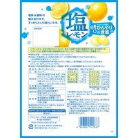 飴 キャンディ 個包装 お配り菓子 塩レモンキャンディ 1セット（1個×12）