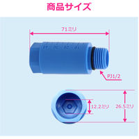 カクダイ テストプラグ コア継手対応 GA-JL012 1個（直送品）