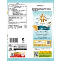 ポテトチップス 食べきりサイズ 春ポテト 2種の岩塩味 60g 1セット（1個×12）