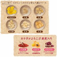 ドギーマン 六穀のめぐみ ぺろっとグラノーラ フルーツミックス りんご味 国産 250g 1袋 ドッグフード 犬用 おやつ