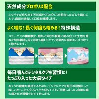 ドギーマン ホワイデント 激かみ！歯みがきガム ホワイト スティック Ｌ 中型・大型犬向き 20本 1袋 犬用 おやつ 歯磨き