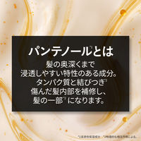 パンテーンEXP カプセル美容液ヘアマスク 170g P&G