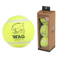 ダルトン ボール おもちゃ 犬 DULTON TENNIS BALL SET OF 3 M 3個入り 482179 1個（直送品）
