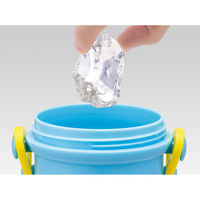 スケーター 水筒 480ml 抗菌直飲プラボトル チャギントンPOP 482951 1個（直送品）