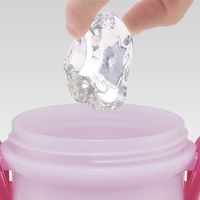 スケーター 水筒 480ml 抗菌直飲プラボトル ギャビーのドールハウス 483886 1個（直送品）