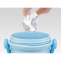 スケーター 水筒 480ml 抗菌直飲プラボトル シナモロールビックリボン 483883 1個（直送品）