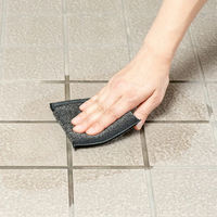 アズマ工業 アズマジック ステンレススポンジ コゲ サビ 水あか 485146 1個（直送品）