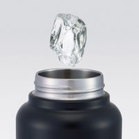 スケーター 水筒 1L スクリューハンドルマグボトル ドラゴンボールZ 大容量 493666 1個（直送品）