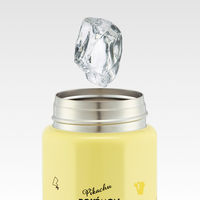 スケーター 水筒 500ml 八角ステンレスボトル ポケットモンスター 493665 1個（直送品）