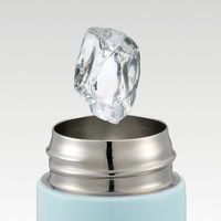 スケーター 水筒 160ml プチステンレスマグボトル クレヨンしんちゃん パステル 493663 1個（直送品）