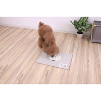 サンベルム ペットマット 40×30cm PallyPallyPET ランチョンマット 犬 猫 はっ水 アイボリー 494344 1個（直送品）