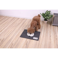 サンベルム ペットマット 40×30cm PallyPallyPET ランチョンマット 犬 猫 はっ水 グレー 494346 1個（直送品）