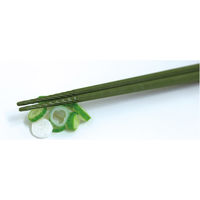 アルタ 箸 すべらせん箸 上 箸置きセット ネギ 495120 1個（直送品）