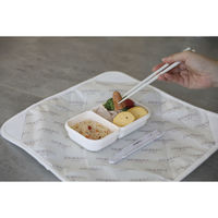 シービージャパン 箸 アニボール 抗菌箸 シロクマ 497340 1個（直送品）