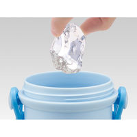 スケーター 水筒 480ml 直飲プラワンタッチボトル シナモロールファンシー 497515 1個（直送品）