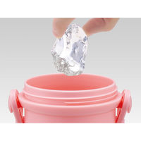 スケーター 水筒 480ml 直飲プラワンタッチボトル キティファンシー 497513 1個（直送品）