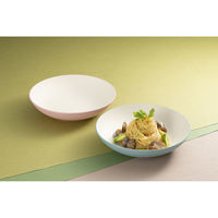 ミタニ プレート bitie レンジ丸皿 抗菌加工 ブルー 497624 1個（直送品）