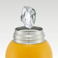 スケーター 水筒 600ml ダイレクトボトル ドラゴンボールダイマ 497688 1個（直送品）