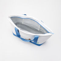 スケーター 保冷バッグ エコバッグ 麻風 トート 保冷ショッピング ピーターラビット 498224 1個（直送品）