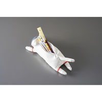 セトクラフト ペンケース アストロキャット ネコ 猫 筆箱 ハチワレ 499058 1個（直送品）