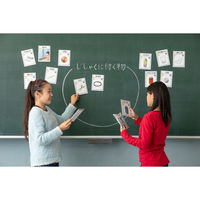 ナナミ 磁性・通電カード 学習用品・理科教材 145296 1セット(16枚)（直送品）