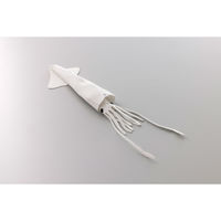 ナナミ イカの解剖演習モデル(4個セット) 学習用品・理科教材 195413 1セット(4個入)（直送品）