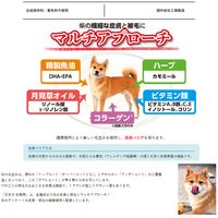 日本犬 柴専用 1歳からの成犬用 フィッシュ味 国産 6kg 1袋 イースター ドッグフード