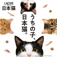 ラシーネ 日本猫 11歳以上 国産 560g（140g×4袋）1袋 日本ペットフード キャットフード