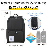 保冷バックパック 16Ｌ ダークグレー RFP-016 DGY 1セット（1個×3） 保冷バッグ リュック サーモス