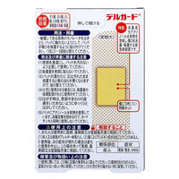 阿蘇製薬 デルガード 救急バン 消毒成分付き 半透明タイプ Lサイズ 20枚入 4970883015735 1箱（直送品）