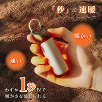 大河商事 充電式カイロ enetanpo ET-21 1秒速暖 3段階温度調節 enetanpoET-21 1セット(2個)（直送品）