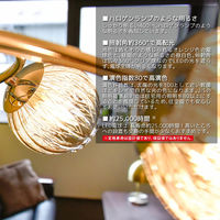 大河商事 AIRCORNO LED電球 G9チューブタイプ 昼白色 400lm G9_5000K 1個（直送品）