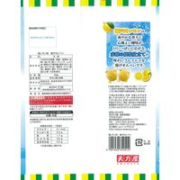 暑さ対策 塩分チャージ 塩レモン味 揚げせんべい 52g 1セット（1個×12）