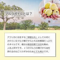 アッシュ(ASH AROMA) ASH AROMA マルラオイル 精製 20ml co00078 1本（直送品）