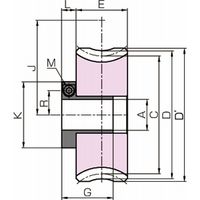 小原歯車工業 ウォームギヤ ウォームホイール AG [Eシリーズ] AG2.5ー30R2E15 1個（直送品）